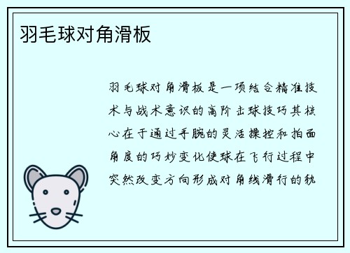 羽毛球对角滑板