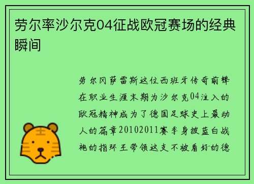 劳尔率沙尔克04征战欧冠赛场的经典瞬间